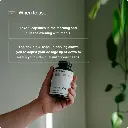 3.webp