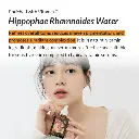 94.webp