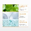 97.webp