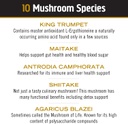 Master Blend Organic Mushroom Powder 3.17oz