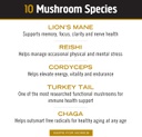 Master Blend Organic Mushroom Powder 3.17oz