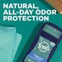 Tom's of Maine Men's Wide Stick Deodorant Mountain Spring