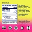 Health-ade Kombucha Berry Lemonade 16oz