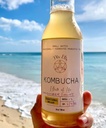Nix Elix Kombucha Cucumber Mint 24oz