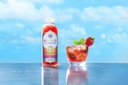 GT's Synergy Kombucha Lemon Berry 16oz