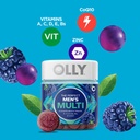 Olly Men's Multivitamin Blackberry Supplement 90CT