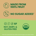 Gogo Squeez Organic Applesauce 3.2oz