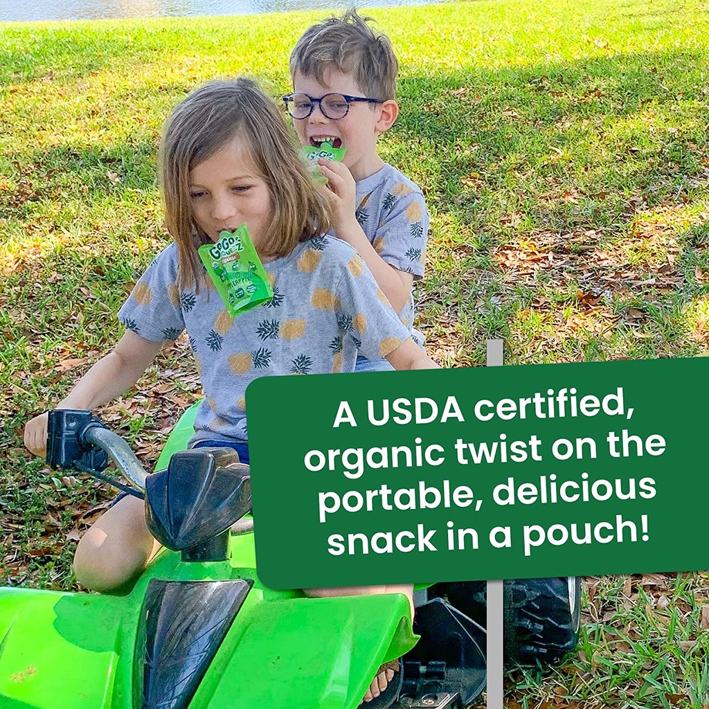 Gogo Squeez Organic Applesauce 3.2oz