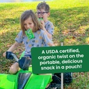 Gogo Squeez Organic Applesauce 3.2oz