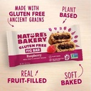 Nature's Bakery Gluten Free Fig Bar Raspberry 2oz