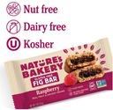 Nature's Bakery Gluten Free Fig Bar Raspberry 2oz