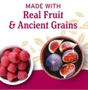 Nature's Bakery Gluten Free Fig Bar Raspberry 2oz