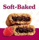 Nature's Bakery Gluten Free Fig Bar Raspberry 2oz