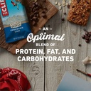 Clif Energy Bar Chocolate Chip 2.4oz