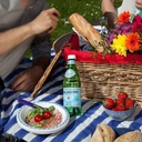 San Pellegrino Sparkling Natural Mineral Water 500ml