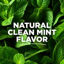 Tom's Of Maine Simply White Clean Mint Toothpaste 4.7oz