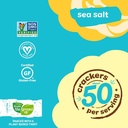 From The Ground Up Sea Salt Cauliflower Crackers 3.5oz