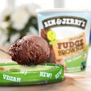 Ben and Jerry's Non Dairy Plant Based Fudge Brownie Ice Cream 1pt