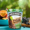 Ben and Jerry's Non Dairy Plant Based Fudge Brownie Ice Cream 1pt