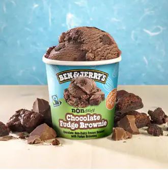Ben and Jerry's Non Dairy Plant Based Fudge Brownie Ice Cream 1pt