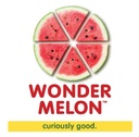 Wondermelon Cucumber Basil 8.45oz