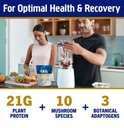 Om Master Blend Plant Protein Powder Vanilla 19.26oz