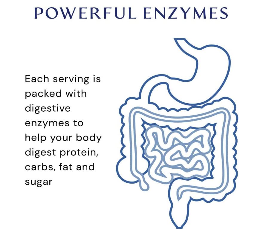 BodyHealth Digestive Enzymes Supplements 180CT