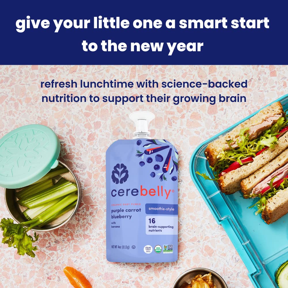 Cerebelly Smart Food Sweet Potato Peach Smoothie 4oz