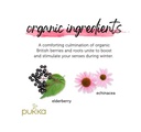 Pukka Organic Elderberry & Echinacea Fruit Tea 20-Bags