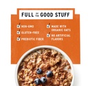 Purely Elizabeth Superfood Oatmeal Classic Cinnamon 9.12oz