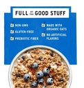 Purely Elizabeth Superfood Oatmeal Blueberry Flax 9.12oz