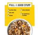 Purely Elizabeth Ancient Grain Granola Original 12oz