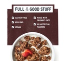 Purely Elizabeth Granola With Prebiotics Chocolate Sea Salt 8oz