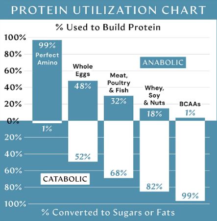 BodyHealth Perfect Amino Supplements 150 CT