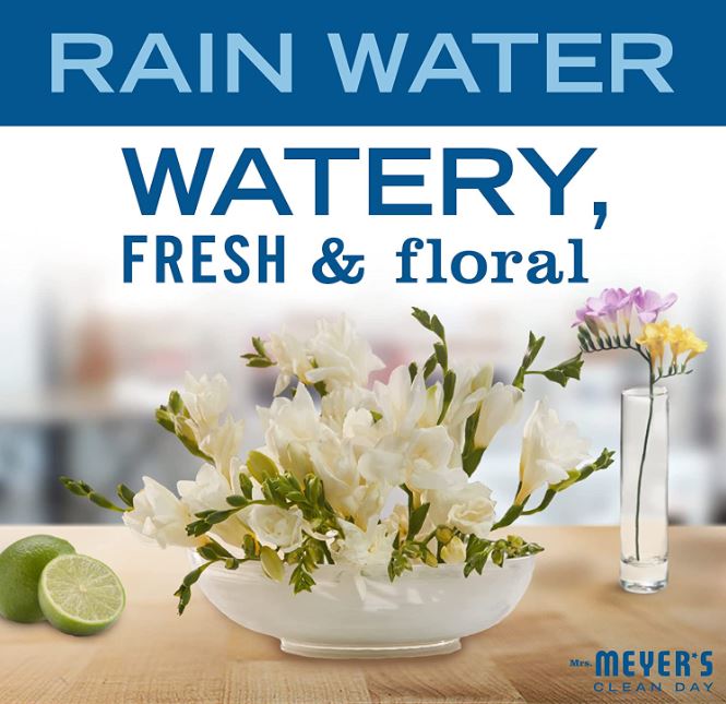Mrs Meyer's Liquid Hand Soap Rainwater 12.5oz