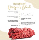 Dragon's Blood White Sage Bundle