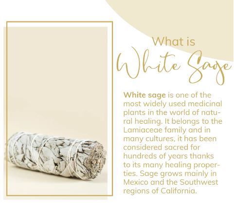 California White Sage Bundle