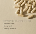 Wild Nutrition KSM-66 Ashwagandha Plus 60 Caps
