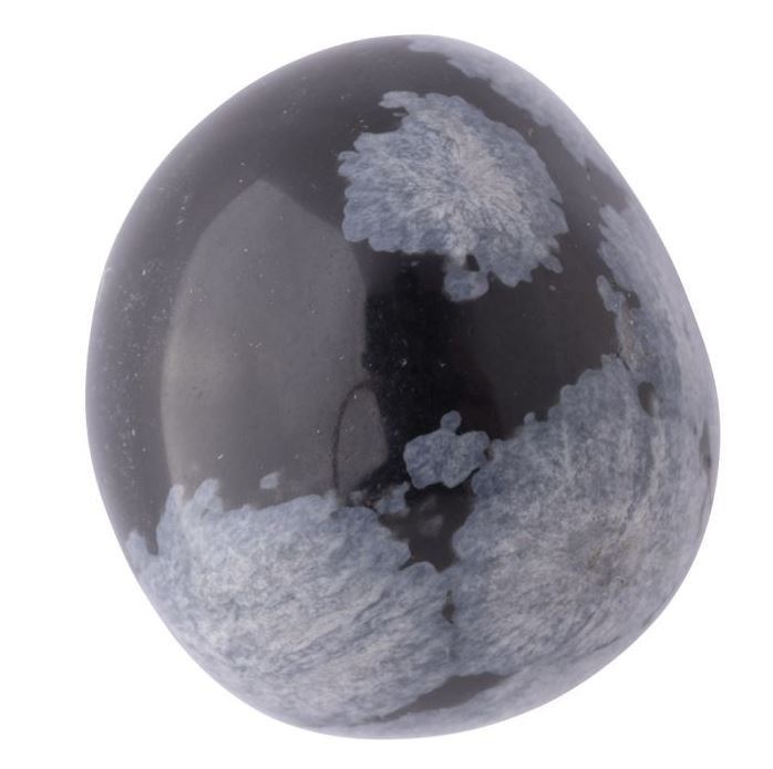 Snowflake Obsidian Tumblestone