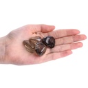 Smokey Quartz Grade A Tumblestone 2-3cm