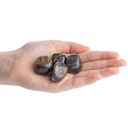 Blue Tiger's Eye Tumblestone 2-3cm