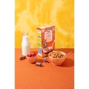 Nature's Path Envirokidz Organic Rhino Rolls 9.5oz