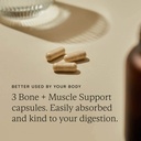 Wild Nutrition Bone + Muscle Support 90 caps