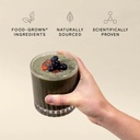 Wild Nutrition Organic Protein + Superfood Powder Pouch 350g
