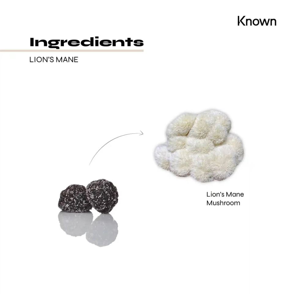 Known Lion's Mane Gummies 60ct