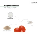 Known Pre+Pro Gut Support Gummies 60ct