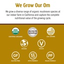 Om Master Blend Plant Protein Powder Chocolate 19.26oz
