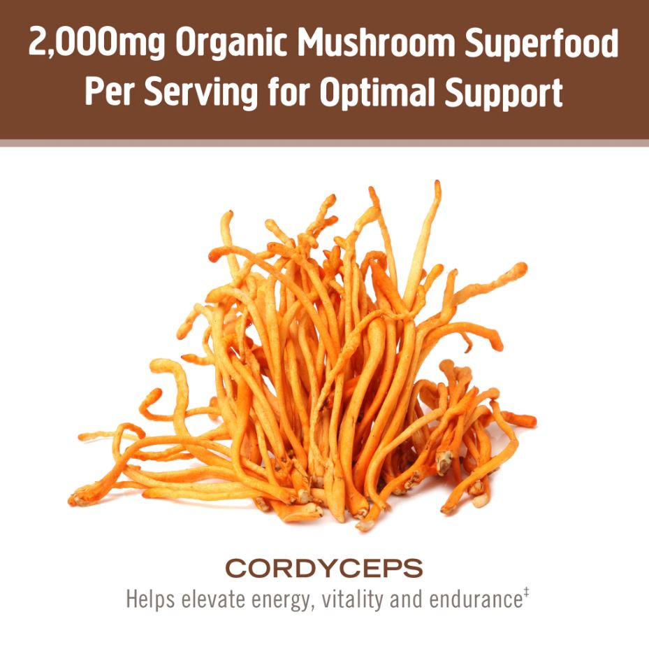 Om Cordyceps Mushroom Powder 3.5oz