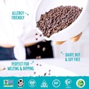 Enjoy Life Semi-Sweet Chocolate Chips 10oz