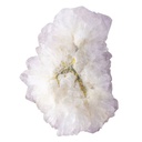 Spirit Quartz 40-55mm